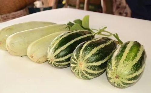 吃瓜群免费网红